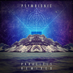 Psymbionic & The Digital Connection - Sonder (Schlang Remix)