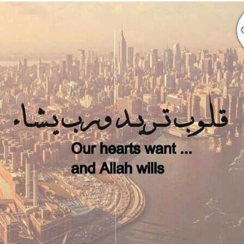شخــــــلوبة جـــامدة