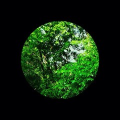 Sensei (EP Sample) Prod. Brude Feat. Febzy