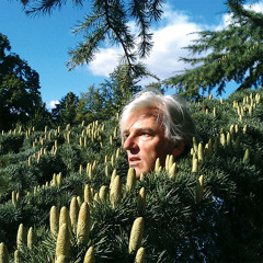 "Trouble In Your Blood" by Robyn Hitchcock recorded live for World Cafe