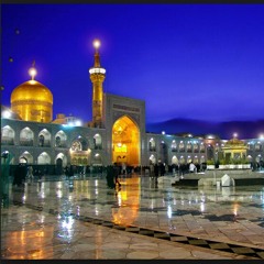 مولاي يا الرضا .. محتاج ازورك .. ساحرني نورك