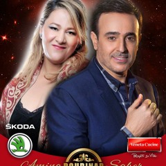 لقاء العمالقة، صابر الرباعي وأمينة فاخت