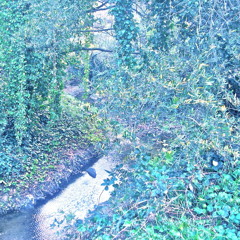 Lil B- We Ridin' Scraper WOW BASED (6 KISS)