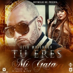 Tu Eres Mi Gata (Prod By Dnote & Fly) (Rottweilas)
