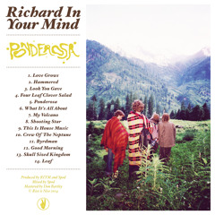Shooting Star - Richard In Your Mind