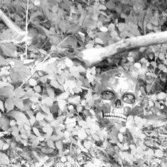 Thorns - Red This Ever's Fairy Mix