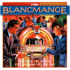 Blancmange + Feel Me + (Farmacia Remix)