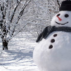 White christmas (solo bass / chord-melody arrangement)