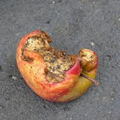 Ain't Talkin' 'Bout Love (Van Halen Guitar Cover)