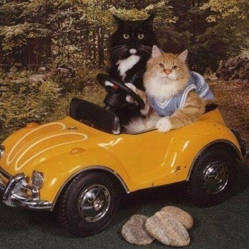 MAX ROBOT - How are you (demo)