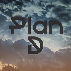 PLAN D