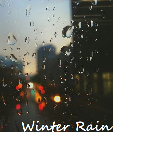 Winter Rain ANT G5 Ft. 'D1Joe'