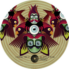 Einsauszwei - Poly (Original Mix) SHOWREEL 002 Snippet "Vinyl Only"