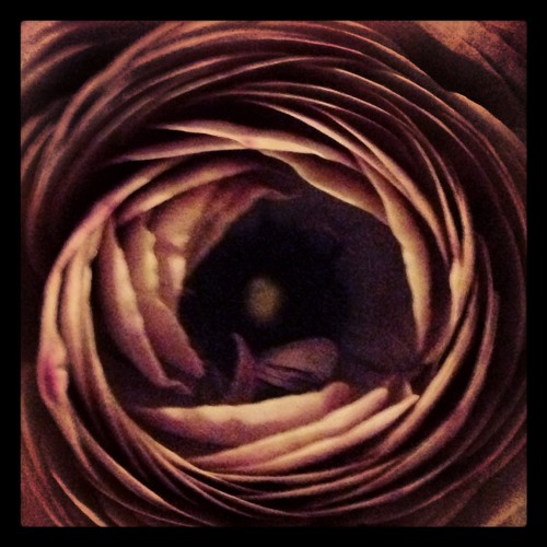 felte (Label Sampler)