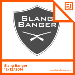 Slang Banger - FABRICLIVE x RAM Mix