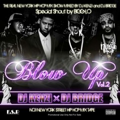 BLOW UP VOL.2 / MIXED BY DJ KENZI & DJ BRIDGE -Shout by BIG-LO-