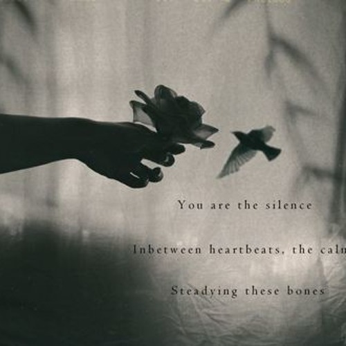 Cold Day, Running Heat [Naviarhaiku 048 - you are the silence]