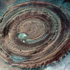 Ferbi Boys - Bushcafe