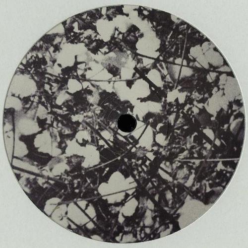 Conquered Enemies EP (Wolf Music, 2014)