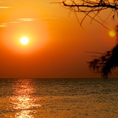 Windchimes Electronique 2