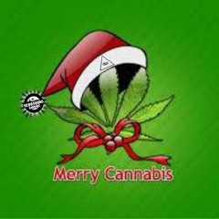 PURE PLUNRT - CHRISTMAS SPECIAL