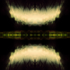 Het Amsterdamse Bos