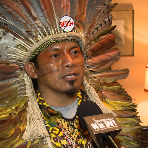 Brazilian Indigenous Leader: Carbon Trading Scheme "REDD" a False Solution to Climate Change