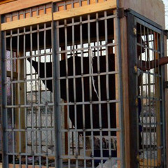 "These Are Crimes": New Calls to Prosecute Bush Admin as Senate Report Reveals Brutal CIA Torture