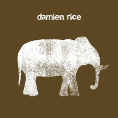 Elephant (Damien Rice cover - live)