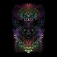 on Dark Forest Psychedelic Trance  [Malfunktion DJ Mix]