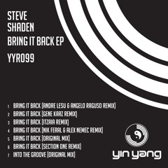 YYR099 : Steve Shaden - Into The Groove (Original Mix)