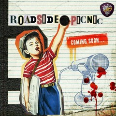 roadside.picnic - 'ex' nocturnal (2010)