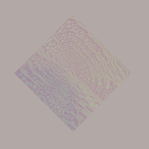 Al Lover - Flight Patterns