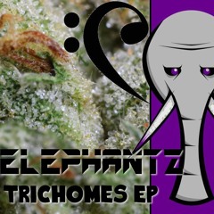 One Million Space Bucks (Original Mix)