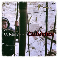 J.A. White - Cubicles
