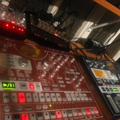Slegis (Live Record)