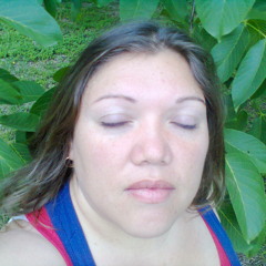 Plot with the wizard