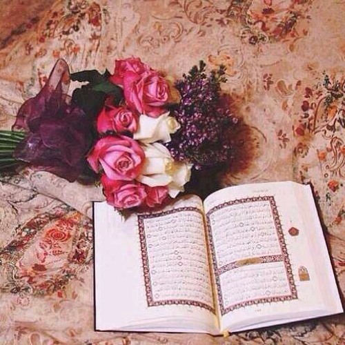 استغفروا الله يرسل السماء عليكم مدرارا