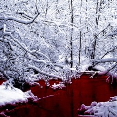 Joker - Tausend Dinge