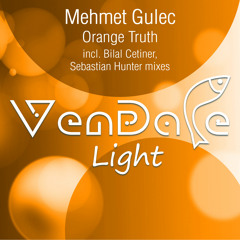 #L003 Mehmet Gulec - Orange Truth (Original Mix)