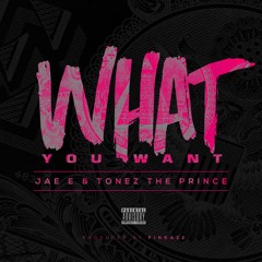 What You Want ft Tonez The Pince (produced by Fingazz)