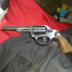 BLAZE, BULLETS GON FLY - 1[1]