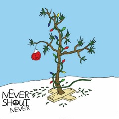 30 Days - Nevershoutnever (Cover)