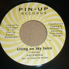 Palemina - Living on a skyjuice + dub / Pin-Up 7"
