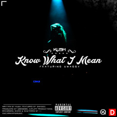 Know What I Mean (featuring Swaggz)