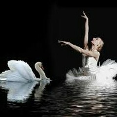"El cisne negro"