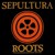 Artwork for Sepultura - Roots Bloody Roots (Instrumental)