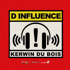 Kerwin Dubois - D Influence [Alternate Mix]