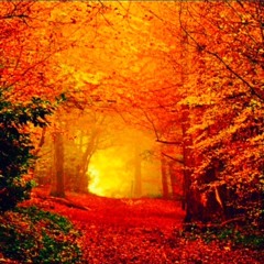 "Honest" by The Neighbourhood Covered By Kurt Jones