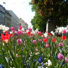 Spring
